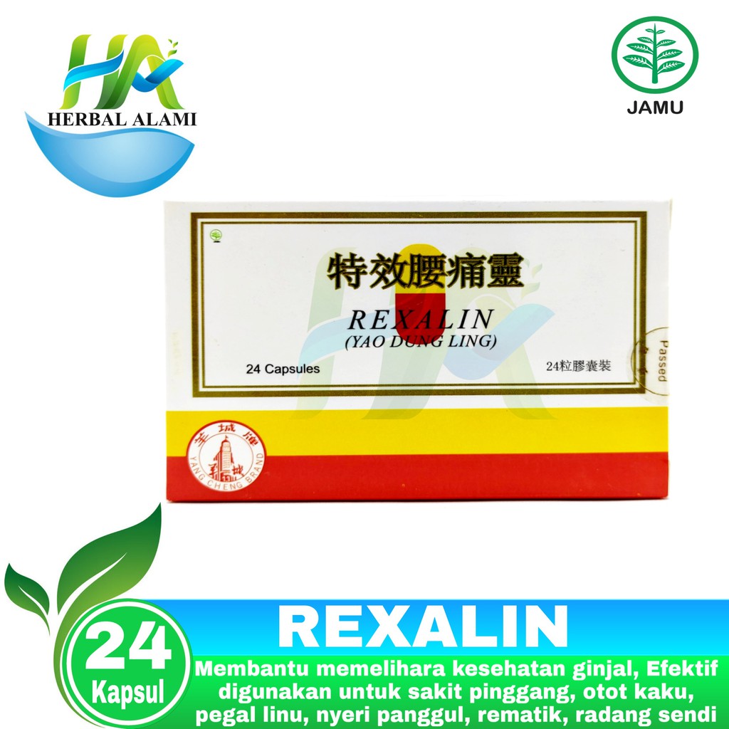 Rexalin (Yao Dung Ling) Obat nyeri sendi sakit pinggang