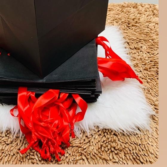 

♣ paper bag kotak nasi box paperbag bento - LUSiN / 24 x 24 ♪