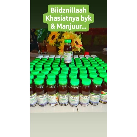 

prolin jamu herbal