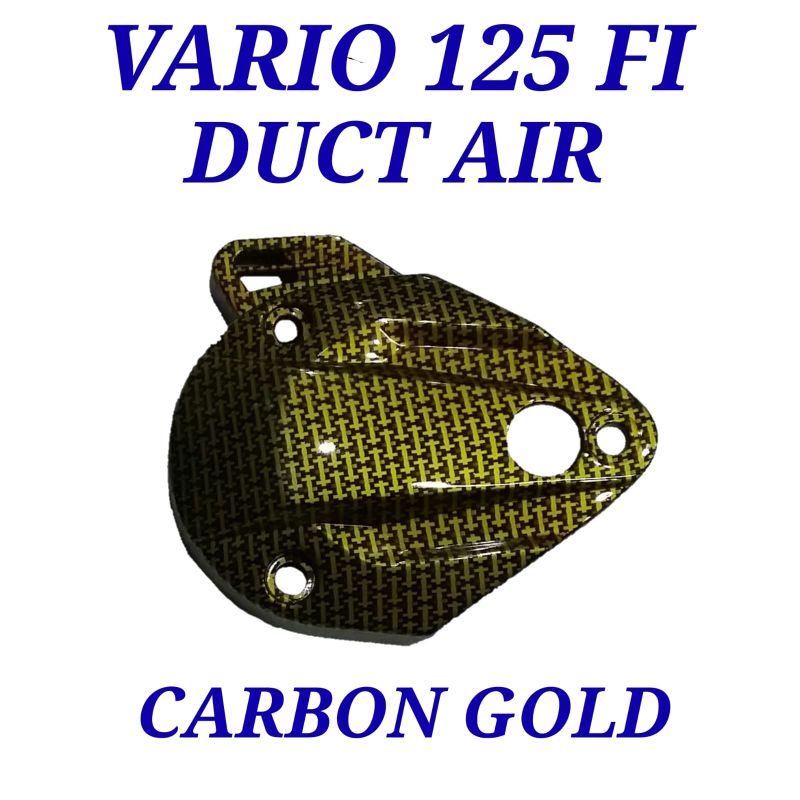 Vario 125 Fi Duct Air