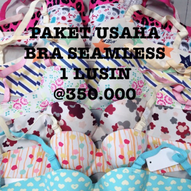 PAKET USAHA PAKAIAN DALAM / BRA SEAMLESS / HARGA GROSIR