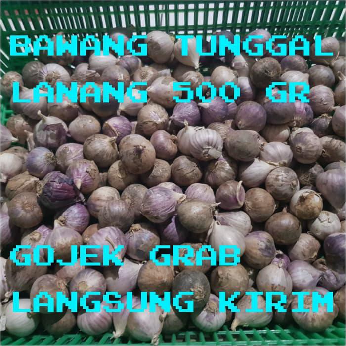 

AMPUH BAWANG PUTIH TUNGGAL/BAWANG LANANG 500GRAM !!!!