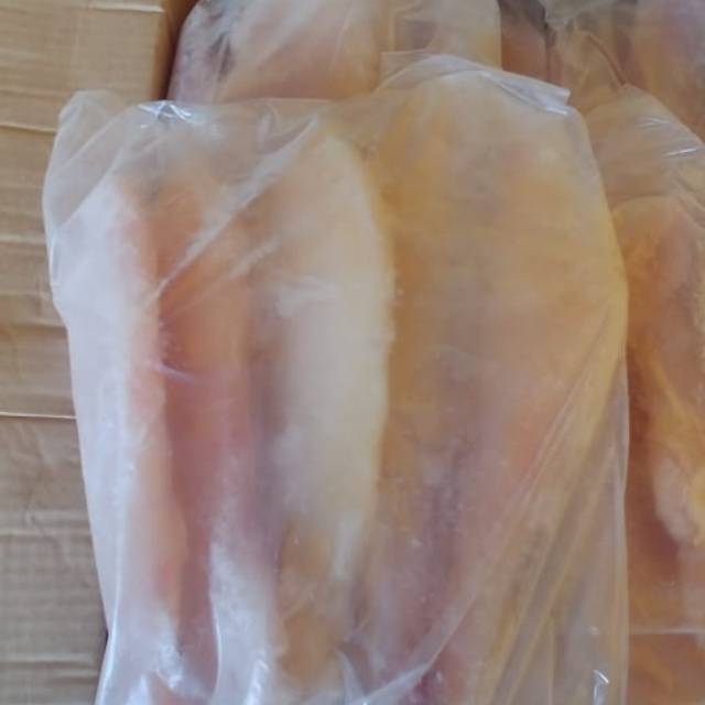 

MURAH Frozen food ikan dori