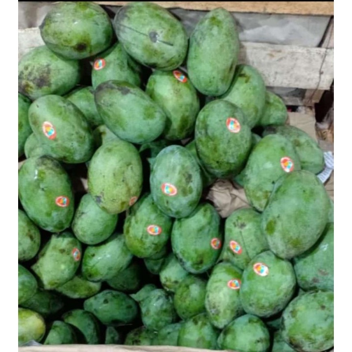 

Buah Mangga Manalagi 1kg