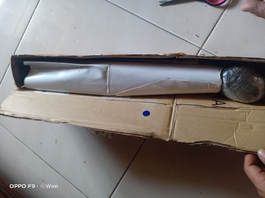 Tanaman Hias Chalatea Tisu White Fision