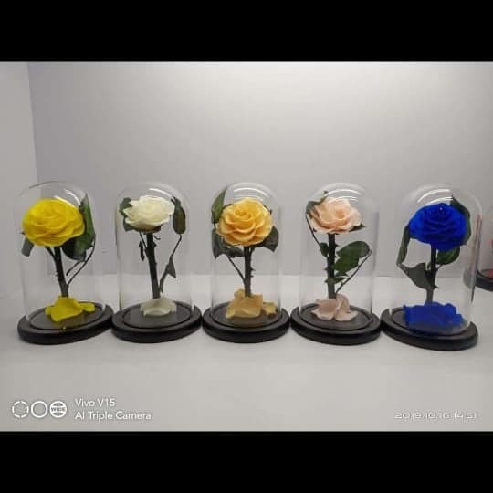 Preserved Single Rose Dome