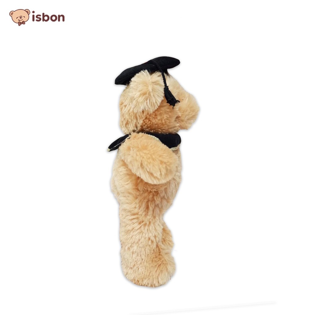 Boneka wisuda teddy bear nad kado sarjana yudisium kelulusan sekolah kuliah-istana boneka