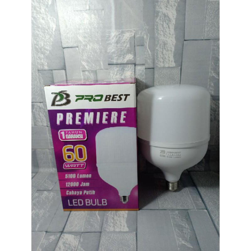Bohlam LED 60 Watt Lampu Premiere LED Bulb Jumbo Cahaya Putih