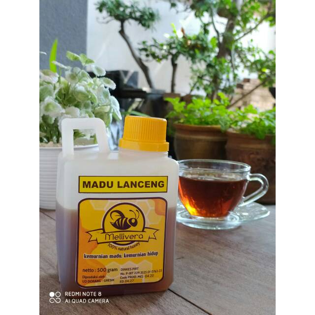 

Madu mellivera lanceng/klanceng/trigona 1 kg