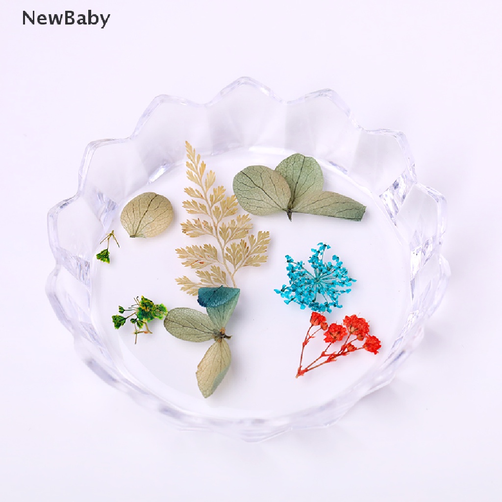 Newbaby 1pc Palet Display Holder Kutek Gel UV Akrilik DIY