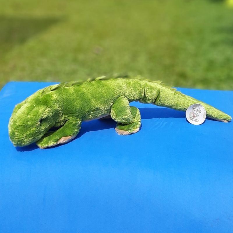 Boneka iguana hijau