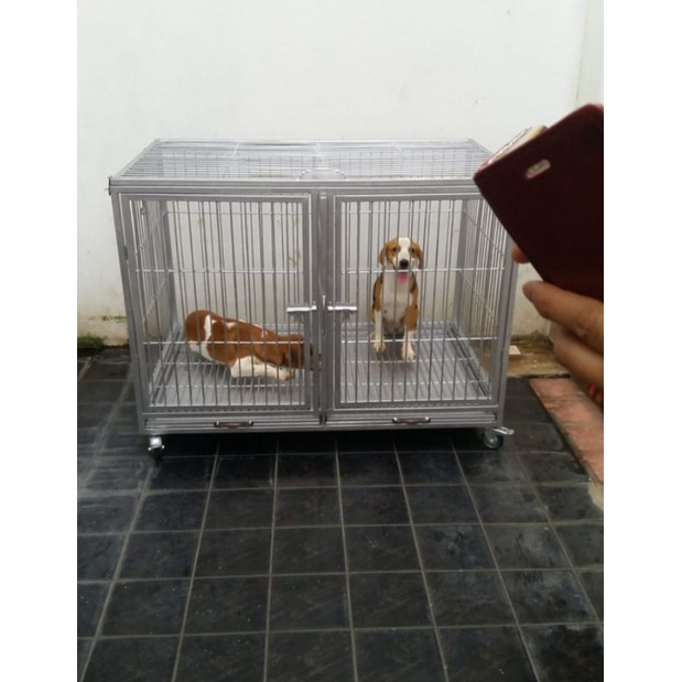 kandang anjing besi