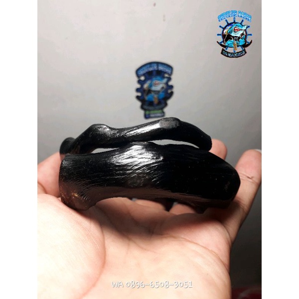 Akar bahar hitam superr babon/besar