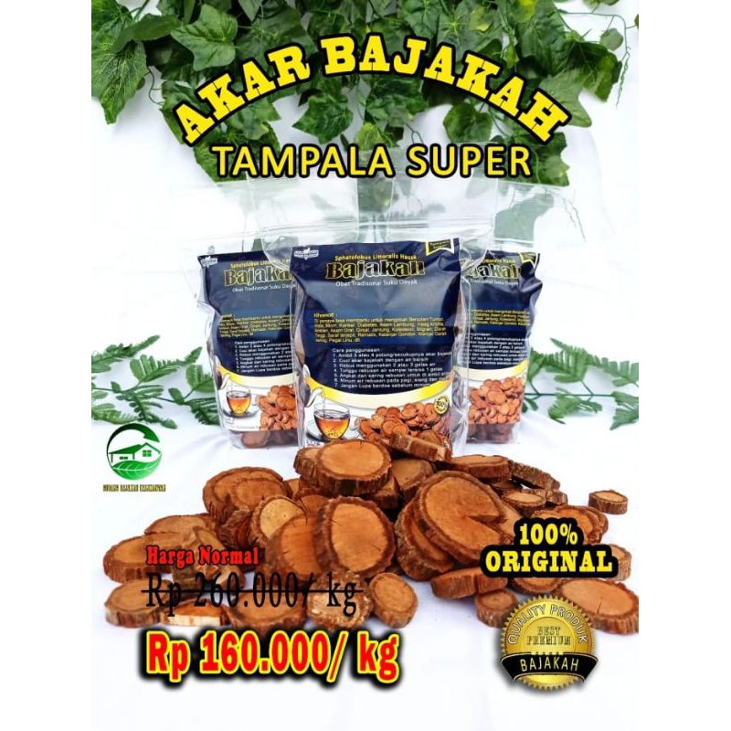 

BAJAKAH TAMPALA SUPER