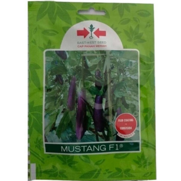 Benih biji terong panjang kehitaman.