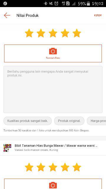 Bibit Buah Pear Pir Hijau Asia