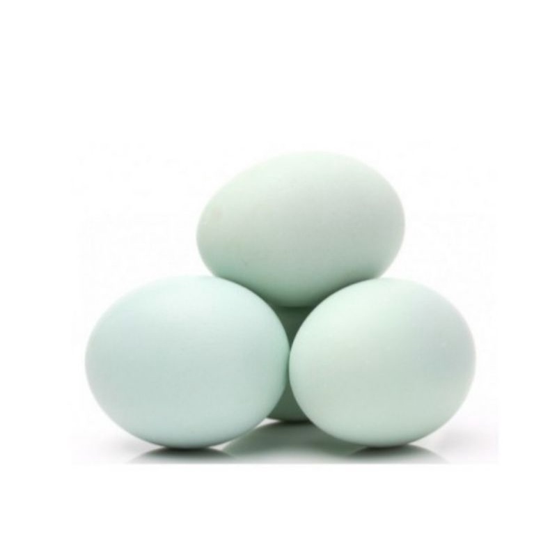 

Telur bebek per butir