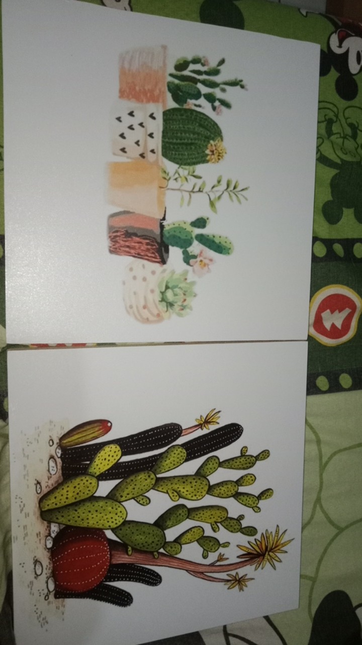 Wp Project Hiasan Dinding Walldecor Pajangan Dinding Shabby Chic Kaktus Succulents