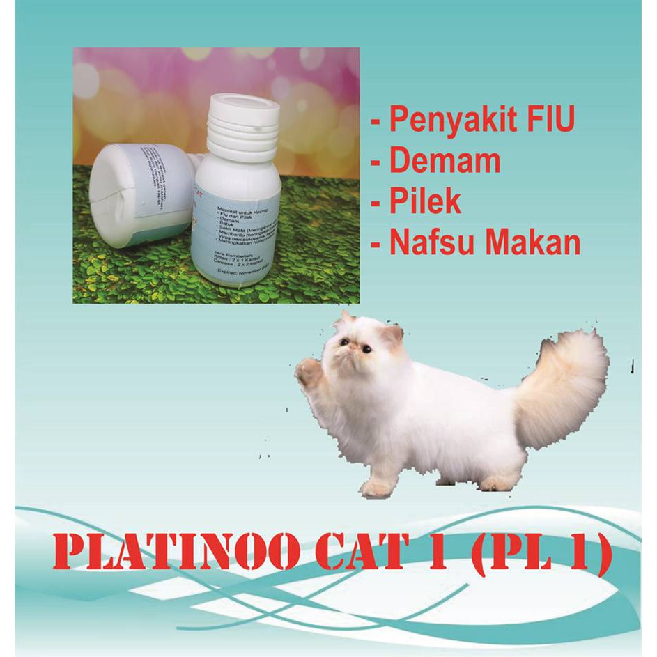 Obat Flu Kucing Pilek demam, Platinoo Cat Imunitas