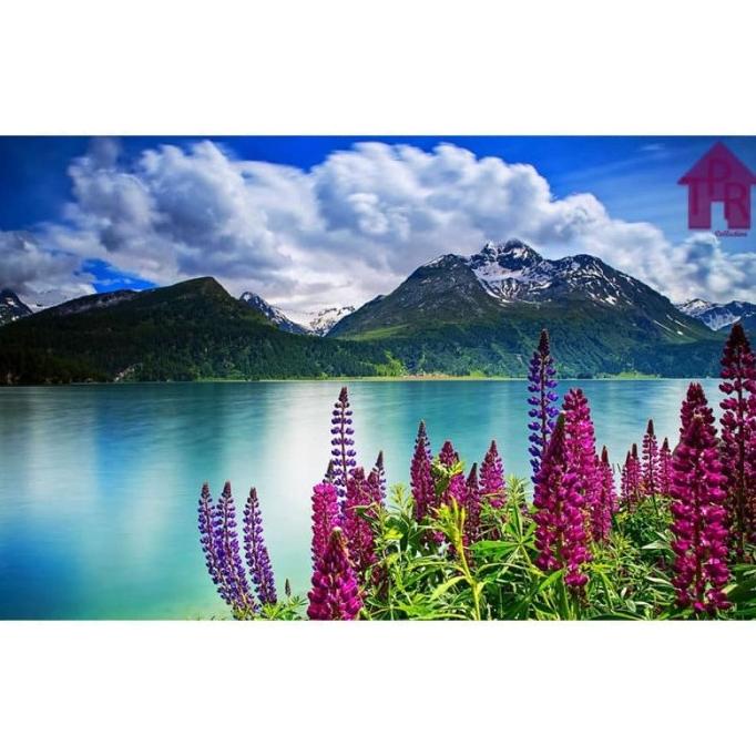 

DIY - Set melukis sendiri / paint by number kit - Nature 40x50cm.