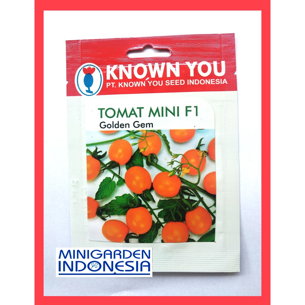 TOMAT MINI GOLDEN GEM PACK KECIL 50 Benih biji Tomat Cherry orange f1 unggul KNOWN YOU SEED Bibit Tanaman Sayuran