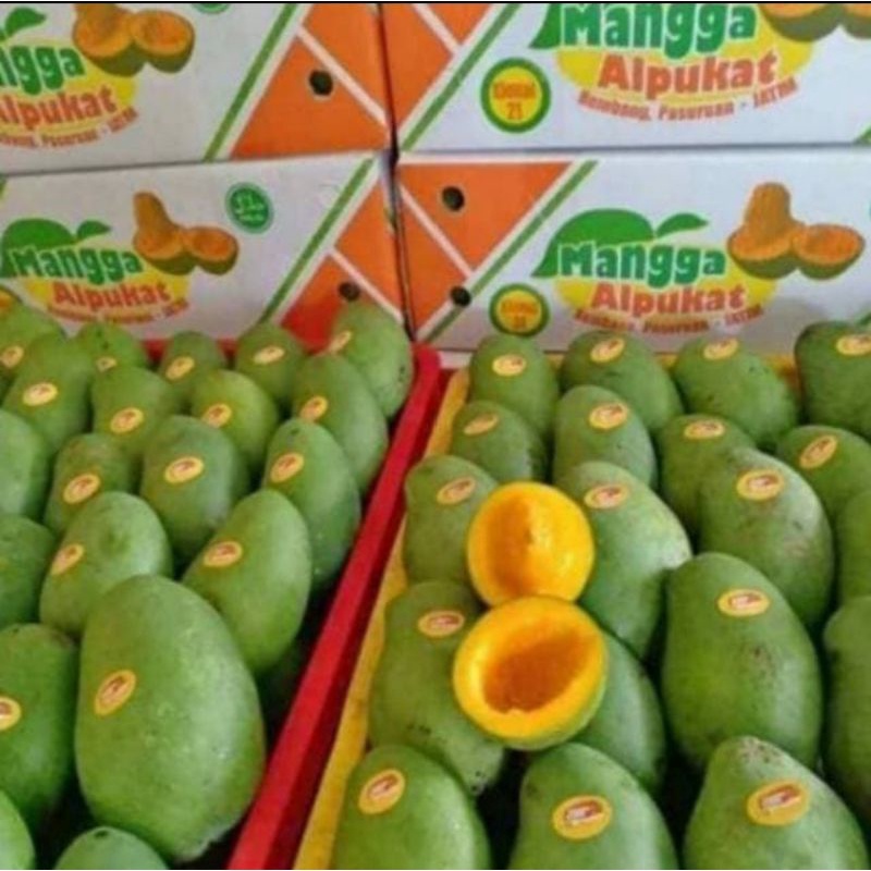 

Mangga Alpukat per dus PROMOOOO
