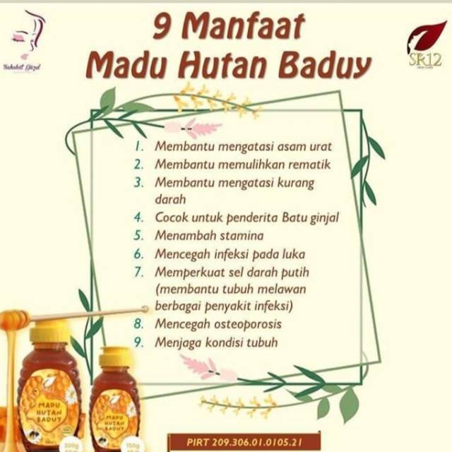 

MADU HUTAN ASLI 100% ( MADU HUTAN BADUY 300Gr)