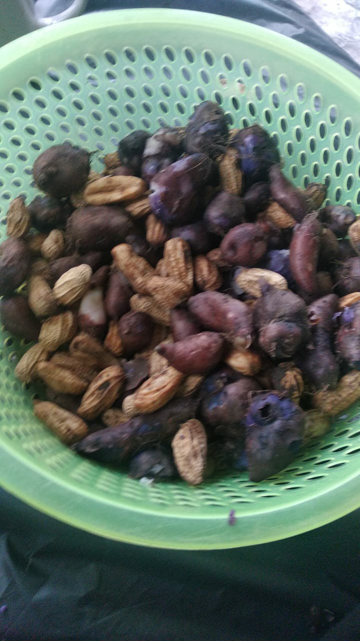 Voltmeter Digital Dc4.5v-30v Dengan Layar Led Warna Merah Ukuran 0.36 Inci