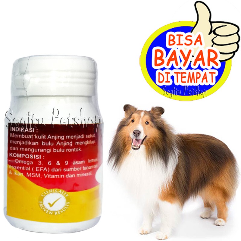 VITAMIN ANJING BULU RONTOK PENUMBUH PELEBAT BULU NAT SKINS DOG