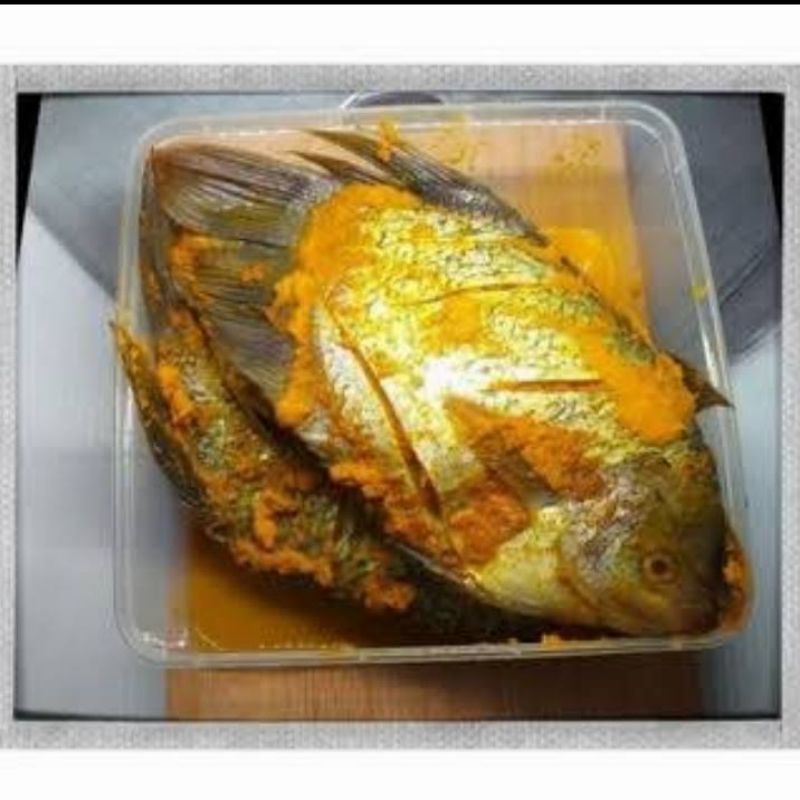 

Ikan Gurame 1Kg Bumbu Kuning Siap Masak Segar Fresh BERGARANSI