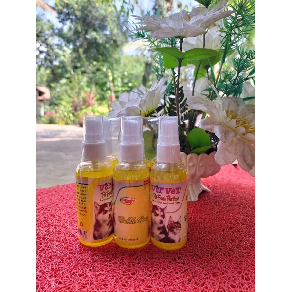 vit vet parfum