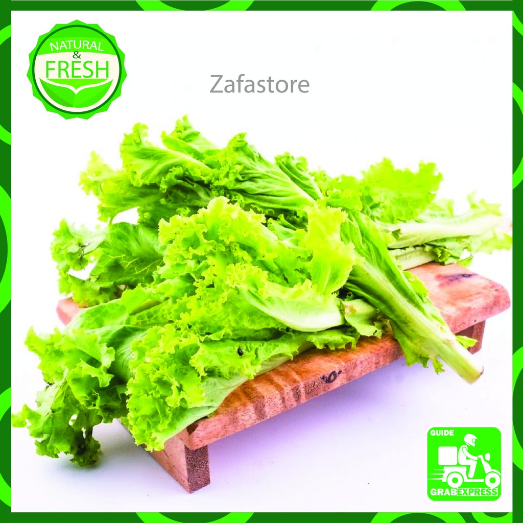 

SELADA SAYUR SAYURAN KERITING SEGAR FRESH MAKANAN 250 GRAM