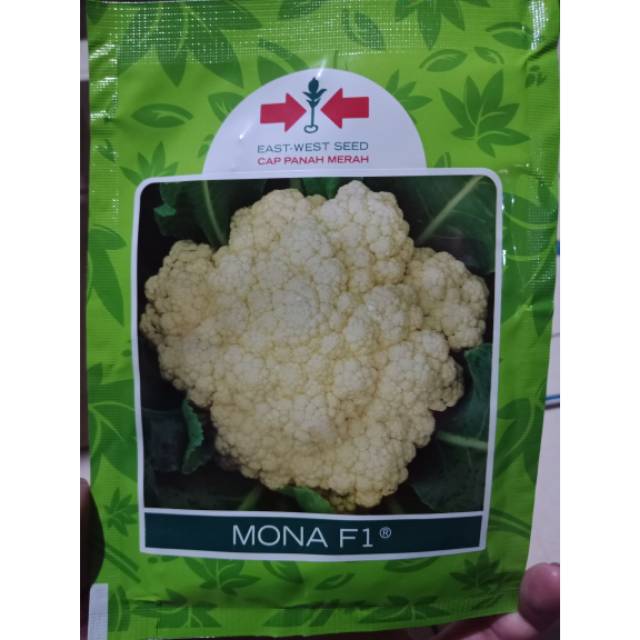 10 gr Benih Kembang Kol Mona Bibit Bunga Brungkul Bokoli Putih Cap Panah Merah