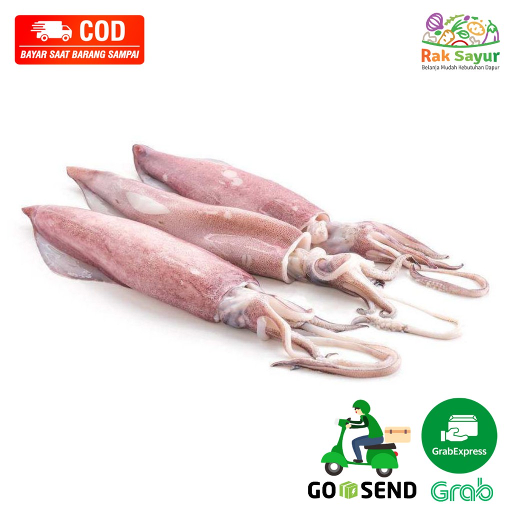 

Cumi Cumi Segar Basah ukuran Sedang 250gr Ikan Segar Rak Sayur Padang