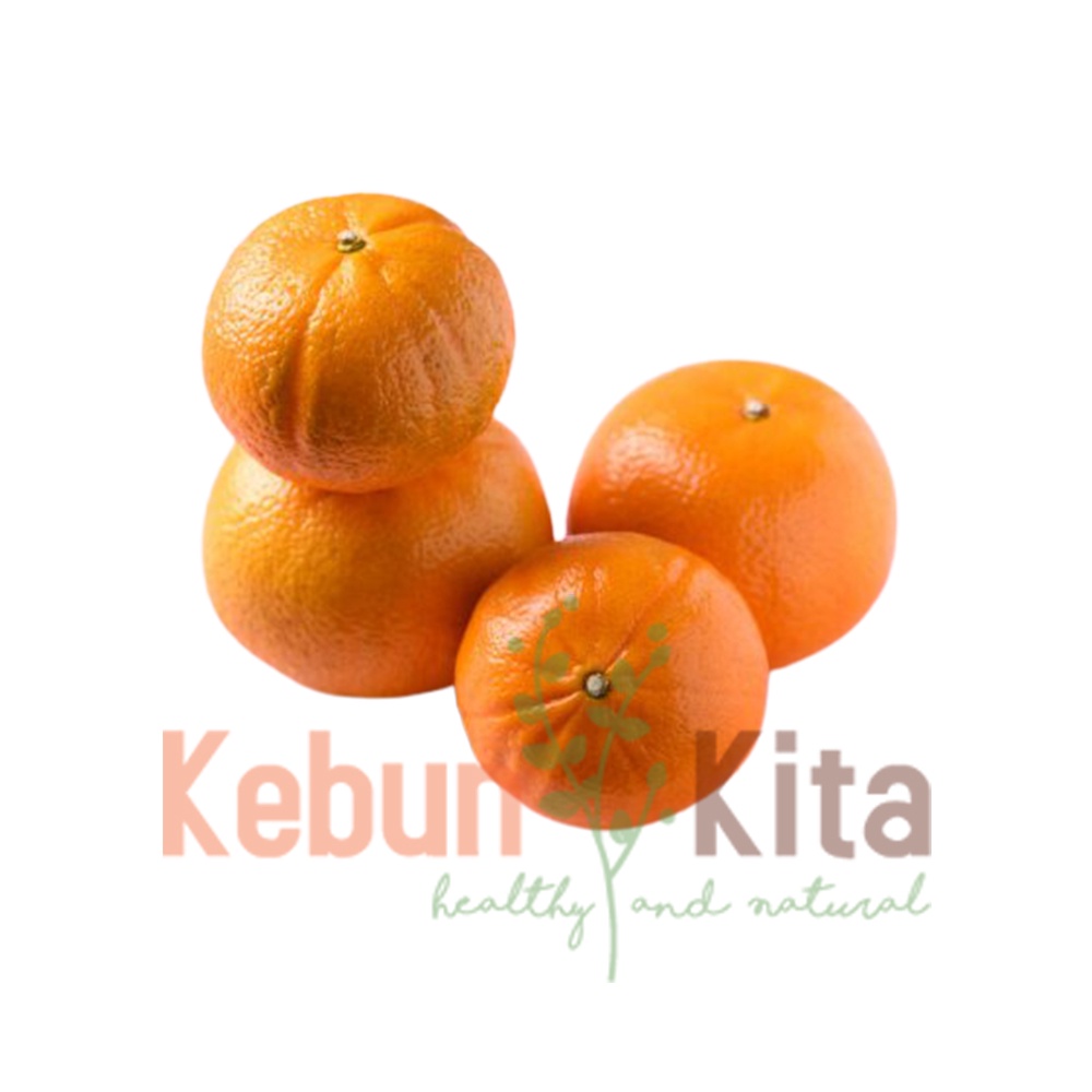 

Jeruk - Honey Murcott Orange [ 4 pcs ]