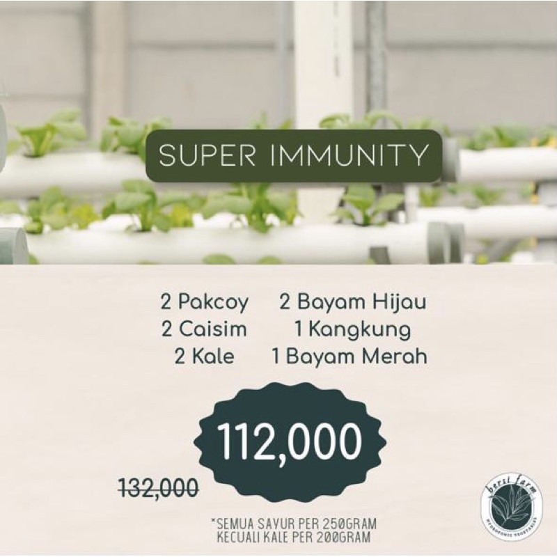 

Promo Sayuran Hidroponik Paket SUPER IMMUNITY Pakcoy, Caisim, Kale, Bayam Hijau & Merah, Kangkung