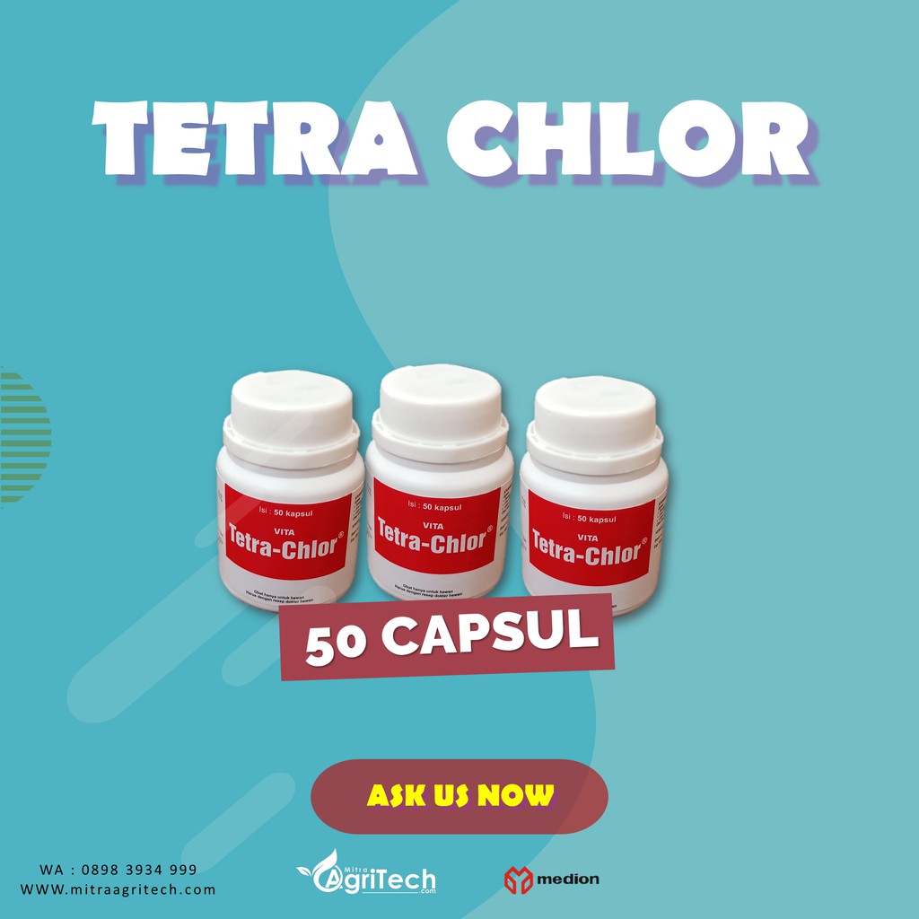 Jual Tetra Chlor Vita Kapsul Obat Ayam Medion Shopee Indonesia