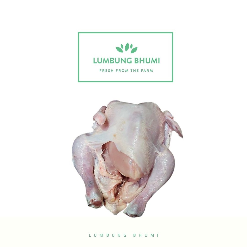 

Lumbung Bhumi - Daging Ayam Karkas Broiler 950 Gr ( Bahan Pokok )