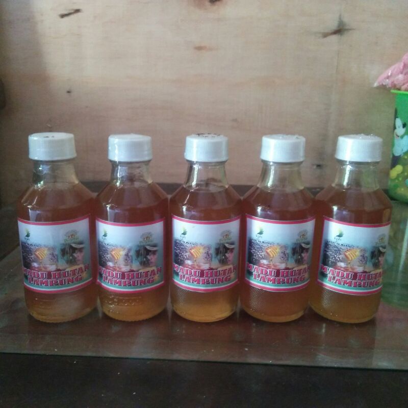 

madu hutan lampumg
