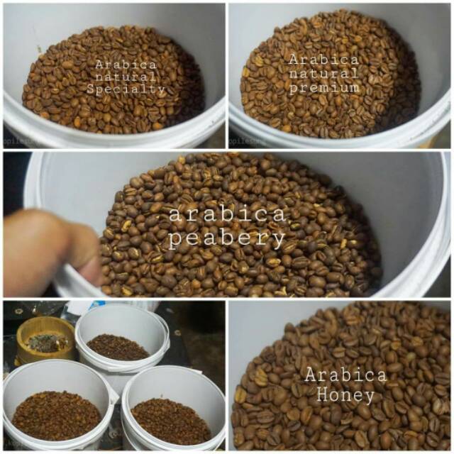 

Peaberry Arabika Roasbean