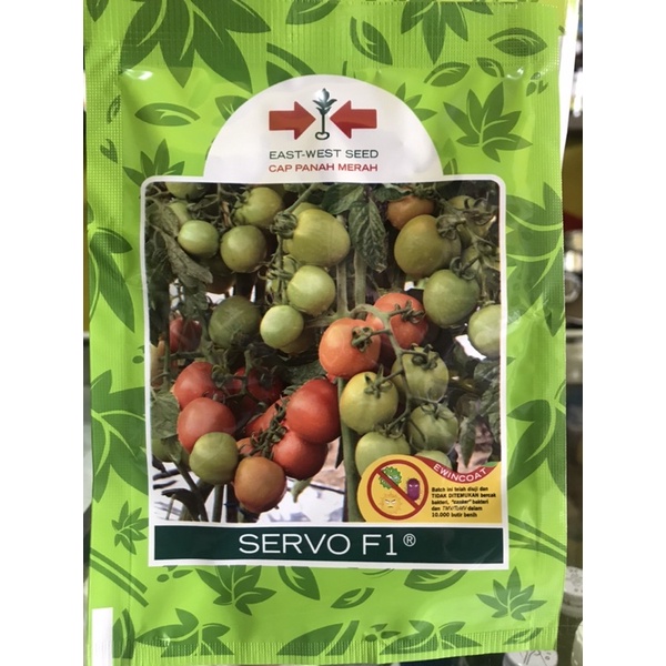 BIBIT TOMAT SERVO