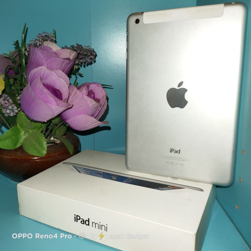 second iPad mini 64gb WiFi dan Cellular lengkap murah harga nett