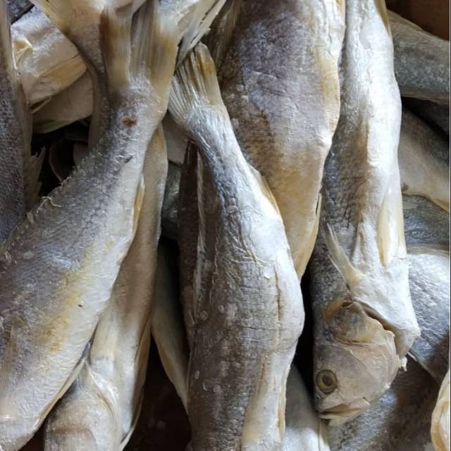 

Ikan asin sangge 250 gr