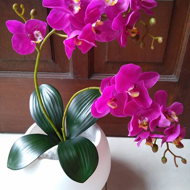 Rangkaian bunga anggrek latex