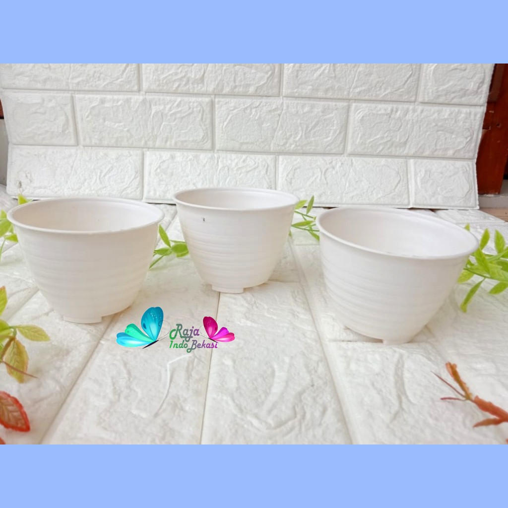 POT WARNA BROKEN WHITE MADU 10  VAS BUNGA TANAMAN KAKTUS MURAH