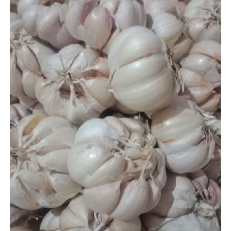 

Bawang Putih Sinco 200 gram