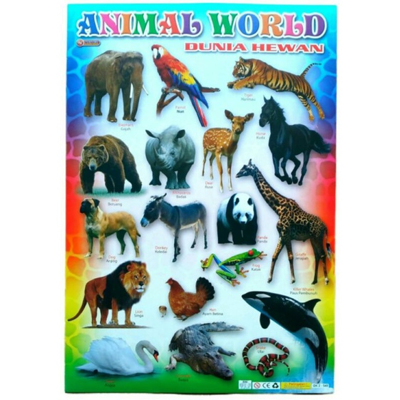 POSTER ANAK EDUKASI ANIMAL WORLD/DUNIA HEWAN