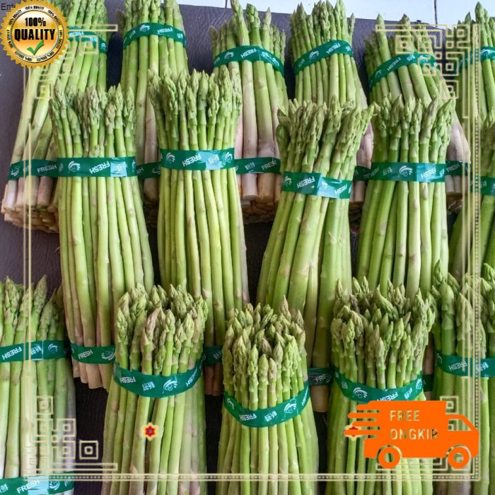 

PROMO!!~LIZZIE90! asparagus segar sayur