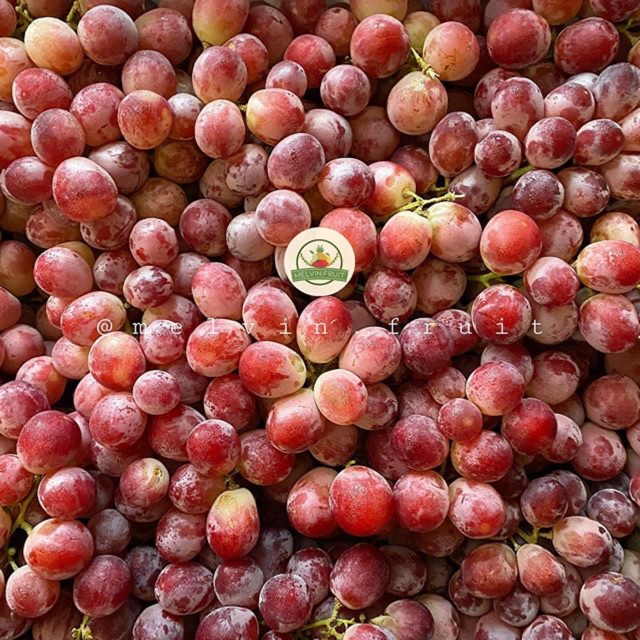 

Buah Anggur Red Globe Ausie fresh (Manis)