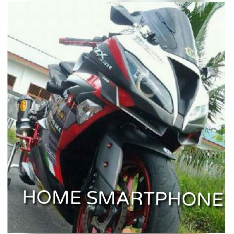 Winglet Kawasaki Ninja 250fi model zx636